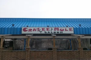 Crazee Mule Pub & Grill image