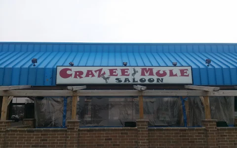 Crazee Mule Pub & Grill image