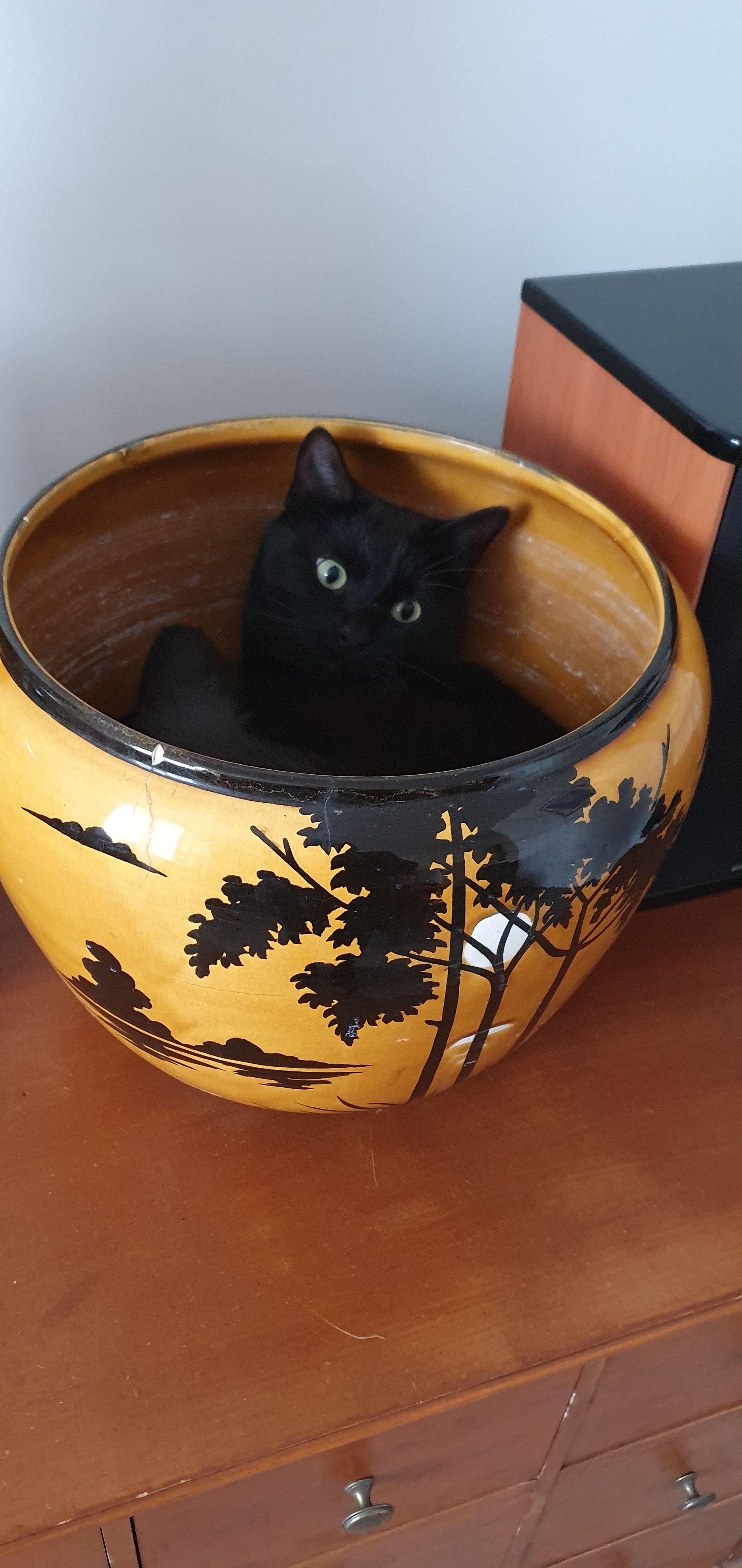 Photo n° 1 de l'avis de Agnès.u fait le 22/12/2022 à 13:09