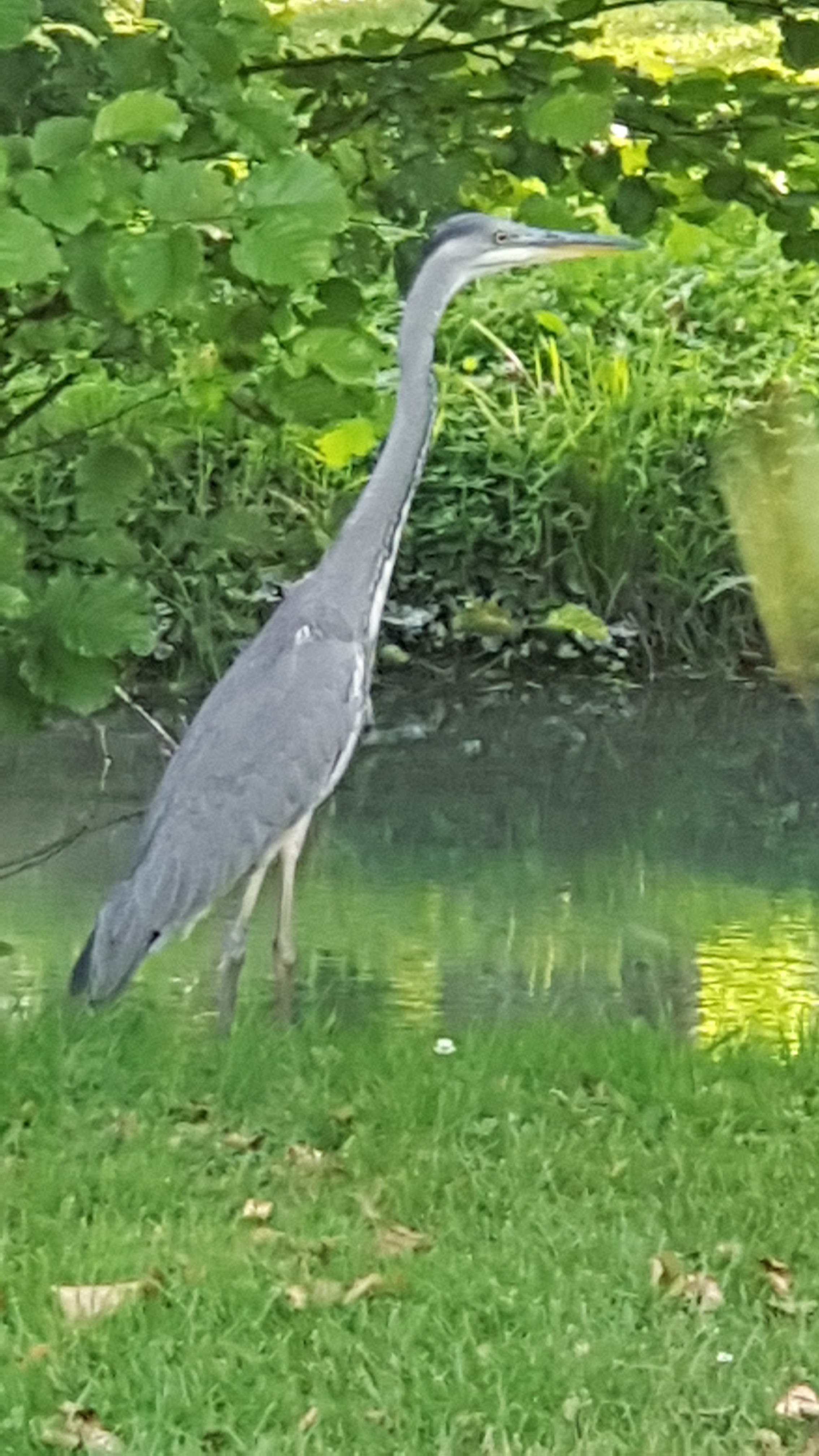 Photo n° 15 de l'avis de Bruno.o fait le 24/07/2019 à 07:55