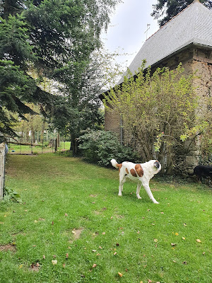 Lesnen Petits Bois à Saint-Thual