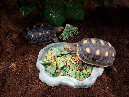 Pet Supply Store «Petco Animal Supplies», reviews and photos, 3495 Sports Arena Blvd, San Diego, CA 92110, USA