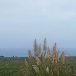 Photo n°1 de l'avis de Alessandro.o fait le 22/10/2022 à 14:44 sur le  Trabocchi coast à Torino di Sangro