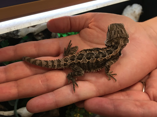 Pet Supply Store «PetSmart», reviews and photos, 17180 Mercantile Blvd, Noblesville, IN 46060, USA