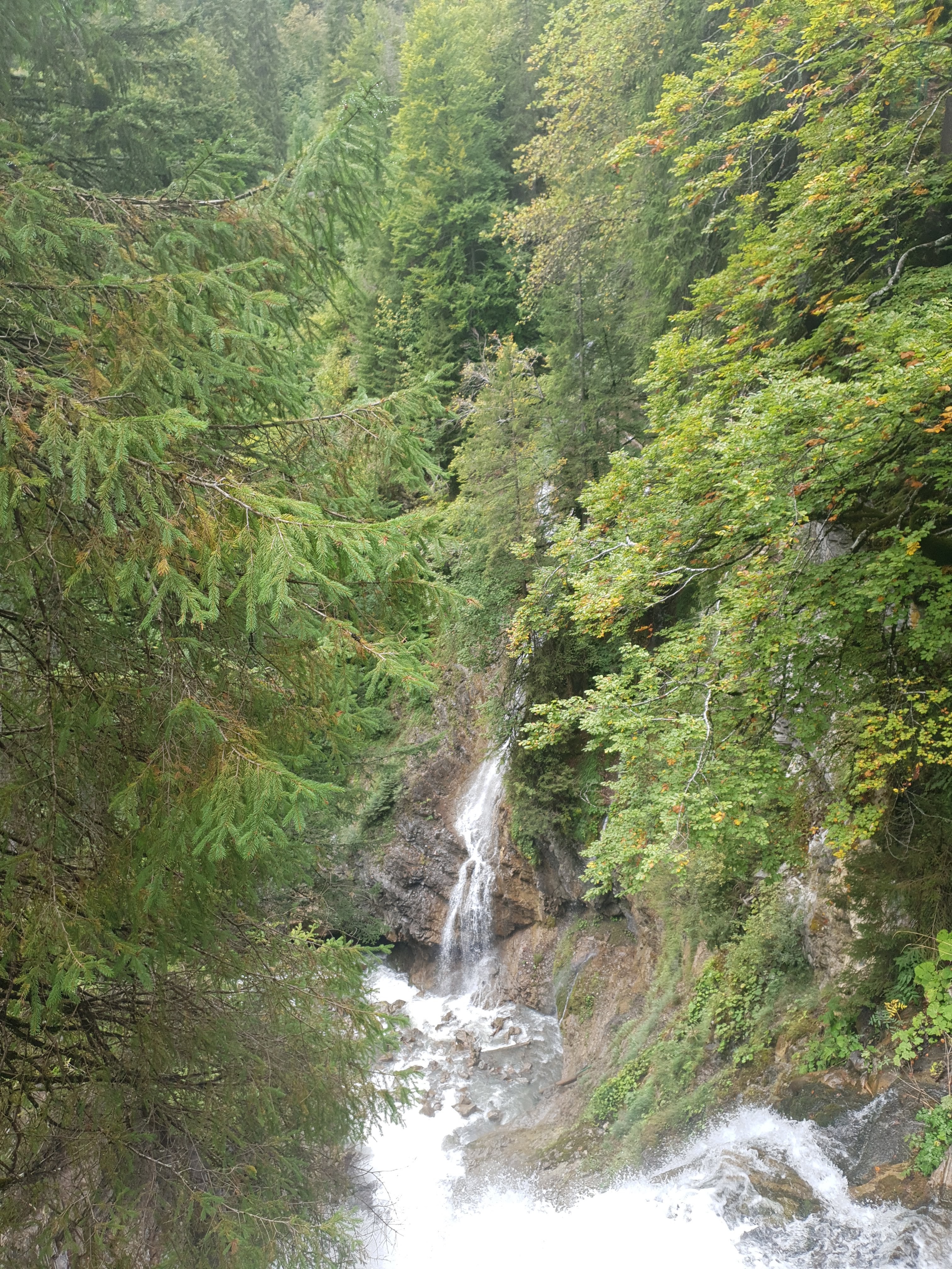 Photo n° 6 de l'avis de Tatiana.o fait le 23/10/2019 à 04:47