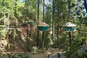 Sonoma Zipline Adventures image