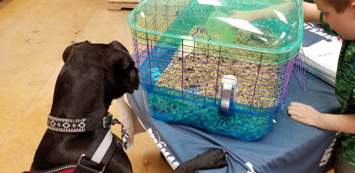 Pet Supply Store «PetSmart», reviews and photos, 162 S Gary Ave, Bloomingdale, IL 60108, USA