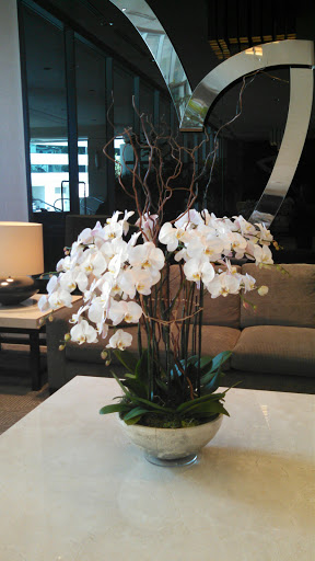 Florist «West Hollywood Florist», reviews and photos, 8205 Santa Monica Blvd, West Hollywood, CA 90046, USA