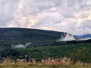 Photo n°6 de Chapelle du Bollenberg à Orschwihr ()