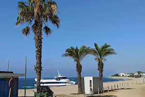 Playa de Santa Susana image