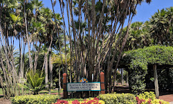 Gizella Kopsick Palm Arboretum