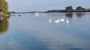 Photo n°69 de Madame Mouette (anciennement les Algues marines) à Belz ()