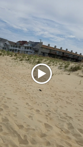 Water Sports Equipment Rental Service «Great White Water Sports», reviews and photos, 1000 E Ocean View Ave, Norfolk, VA 23503, USA