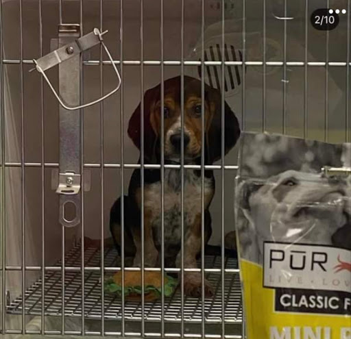 Fish Bowl Aquarium & Pet Mart