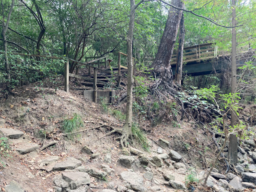 Non-Profit Organization «Houston Audubon Society», reviews and photos, 440 Wilchester Blvd, Houston, TX 77079, USA