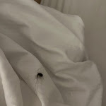 Photo n°1 de l'avis de June.a fait le 01/12/2023 à 06:36 sur le  Schulz Hotel Berliner Mauer à Berlin