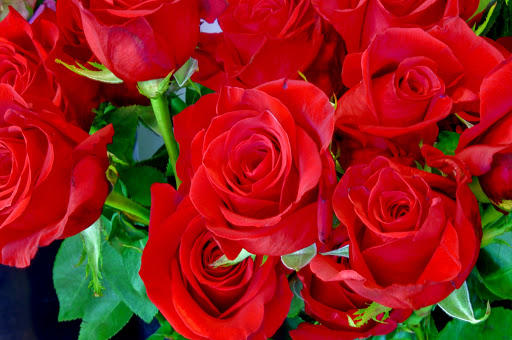 Florist «Red Mountain Florist, Inc.», reviews and photos, 6727 E McDowell Rd #105, Mesa, AZ 85215, USA