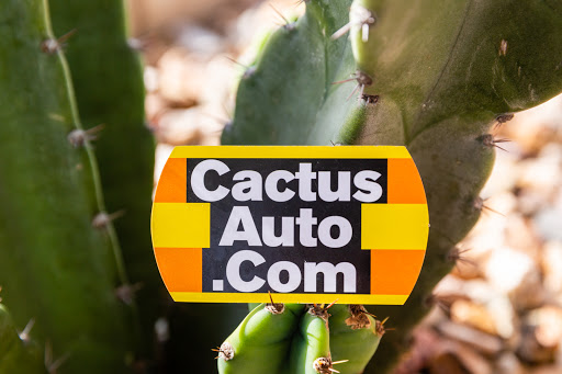 Used Car Dealer «Cactus Auto Company», reviews and photos, 1602 W Prince Rd, Tucson, AZ 85705, USA