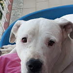 Photo n°1 de l'avis de Marilena.v fait le 27/09/2020 à 13:42 sur le  Il Maccherone à Rivoli