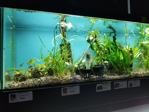 Pet Store «Aquarium», reviews and photos, 6410 Papermill Pl Way, Knoxville, TN 37919, USA