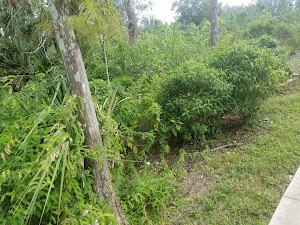 6 Acre Wood Park - photo 17