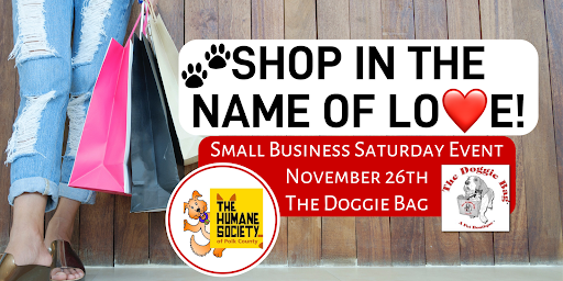 Pet Supply Store «The Doggie Bag A Pet Boutique», reviews and photos, 1745 E Edgewood Dr, Lakeland, FL 33803, USA