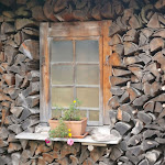 Photo n°2 de l'avis de Monika.o fait le 11/10/2023 à 21:37 sur le  Gaststätte Bootshaus à Titisee-Neustadt