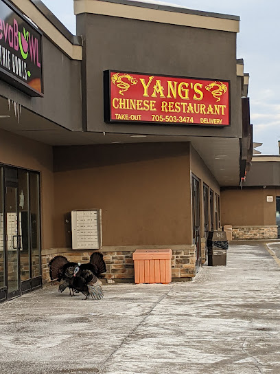 Yang's Chinese Restaurant