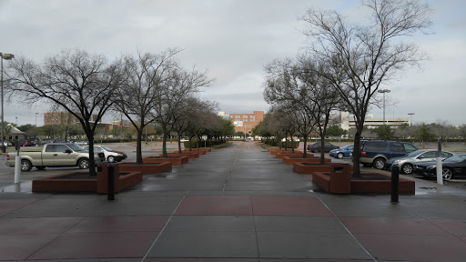 Movie Theater «AMC First Colony 24», reviews and photos, 3301 Town Center Blvd, Sugar Land, TX 77479, USA