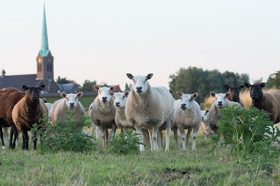 Dierenarts Jan Bearelle