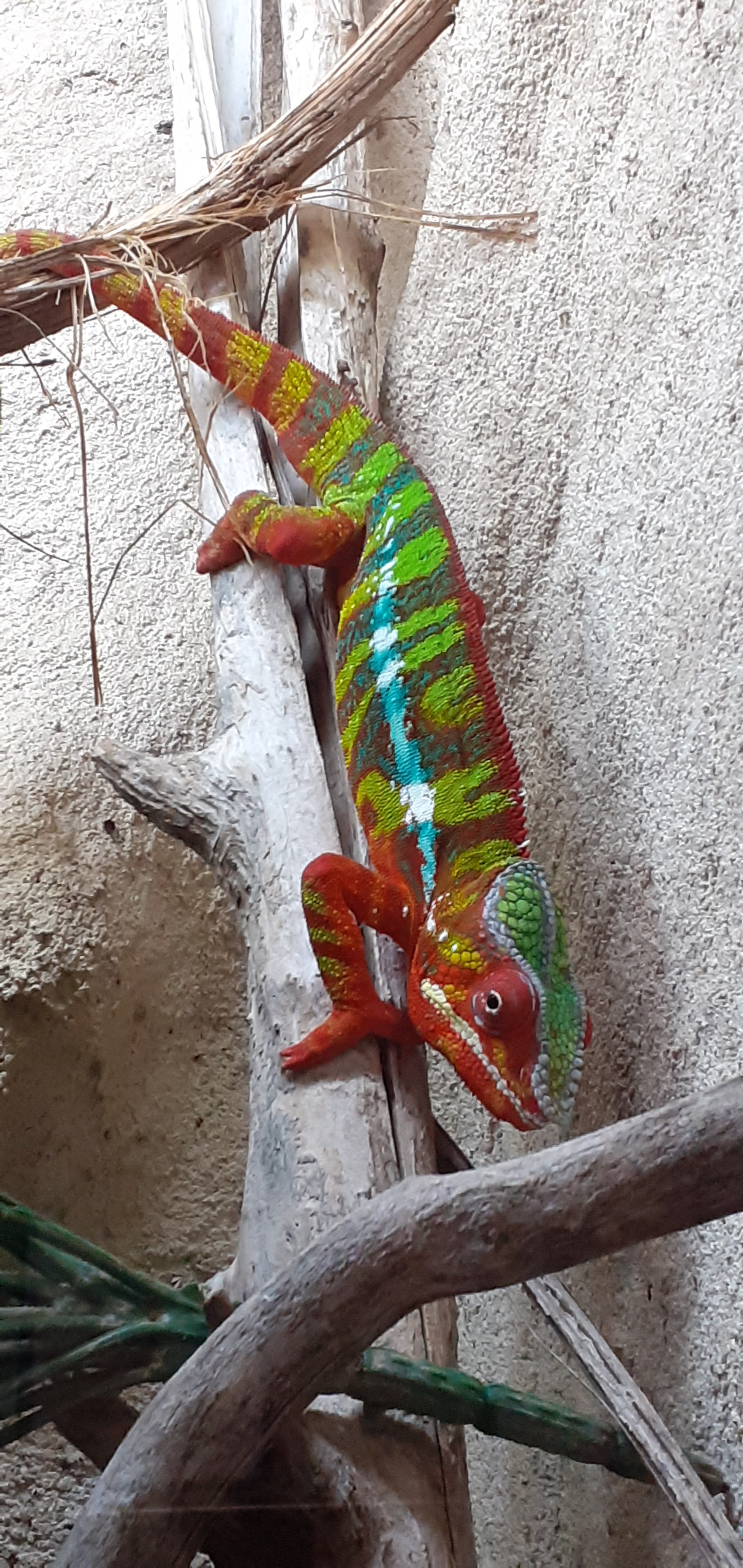 Photo n° 5 de l'avis de xavier.. fait le 15/08/2022 à 19:59