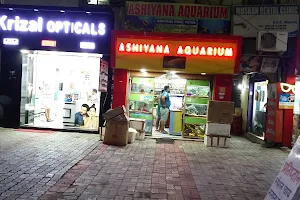 Ashiyana aquarium image