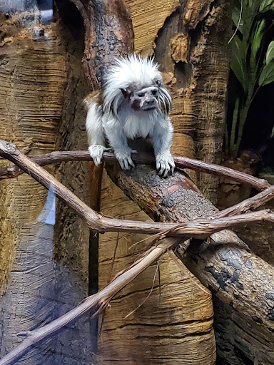 Zoo «Central Park Zoo», reviews and photos, E 64th St & 5th Ave, New York, NY 10021, USA