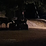 Photo n°2 de l'avis de filippo.i fait le 13/02/2020 à 00:06 sur le  Malga Roncac à Moena