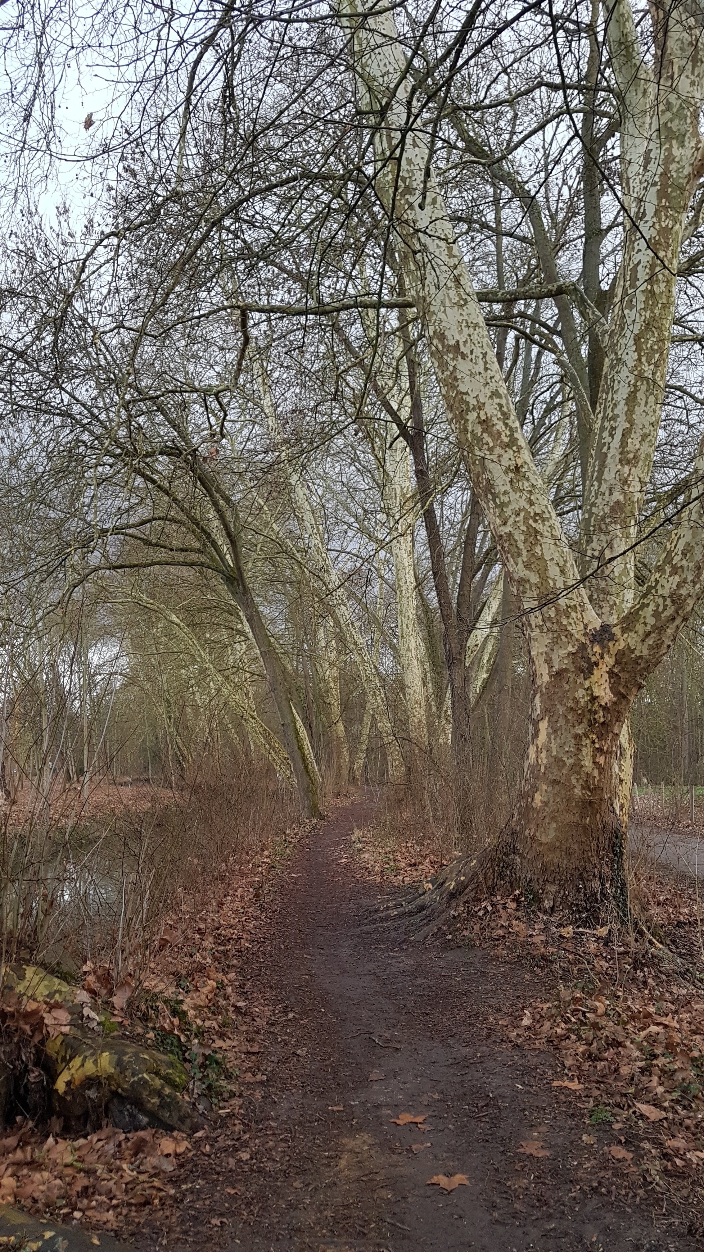 Photo n° 25 de l'avis de Jean-marie.o fait le 06/03/2019 à 12:51