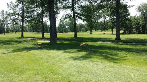 Golf Club «Coyote Preserve Golf Club», reviews and photos, 9218 Preserve Dr, Fenton, MI 48430, USA