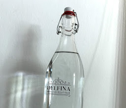 Delfina Boutique Hotel photo