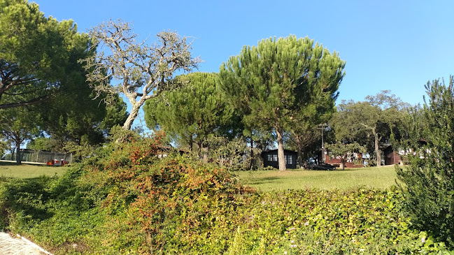 Monte São José - Empresa de organização de eventos