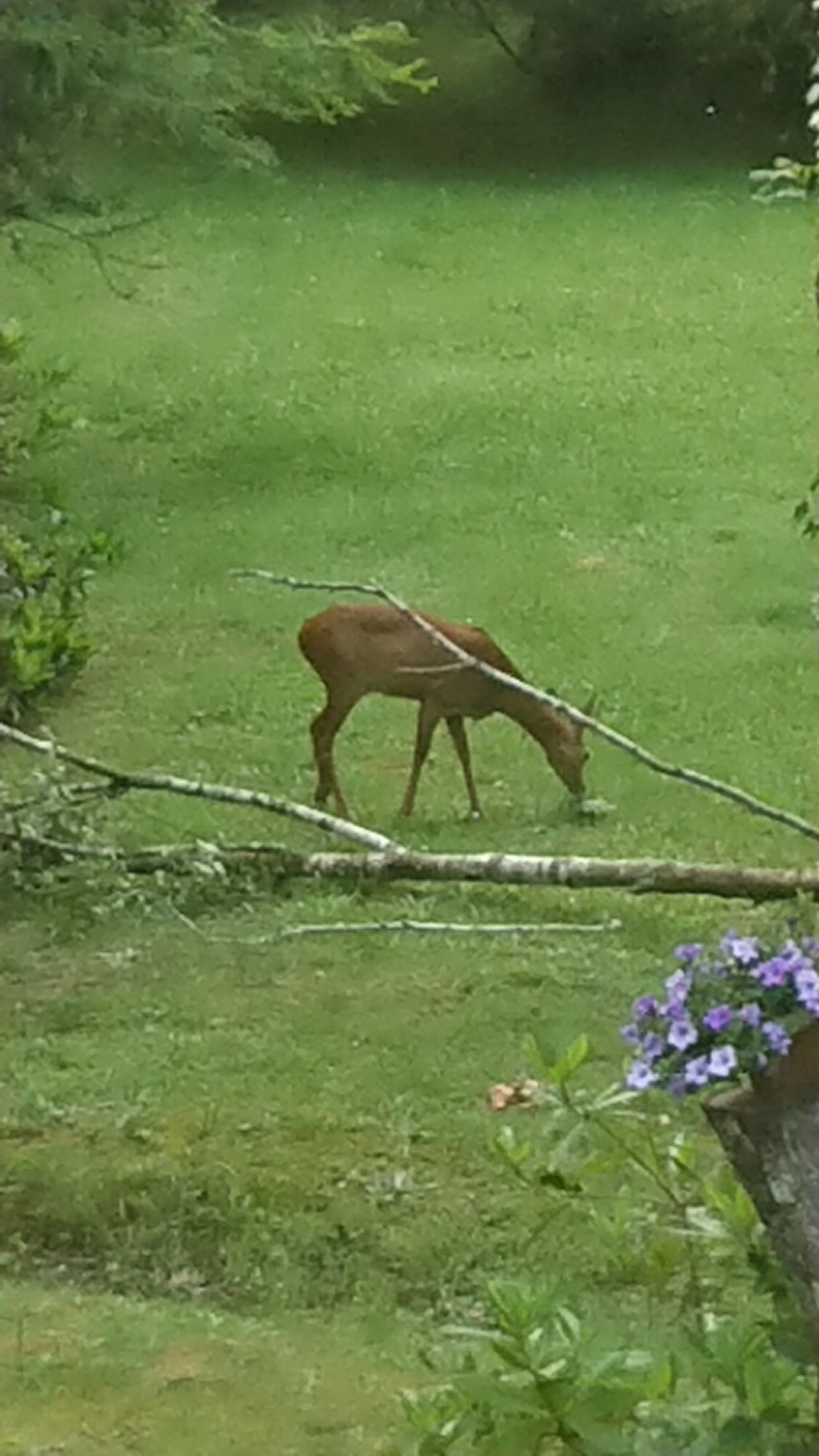 Photo n° 15 de l'avis de Will.a fait le 15/06/2019 à 16:24