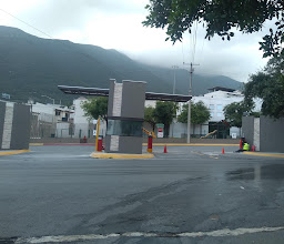 Flamingos San Geronimo photo