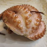 Photo n°6 de l'avis de Fabio.e fait le 28/07/2022 à 20:43 sur le  Ponticello Taverna Gastronomica à Palermo