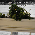 Photo n°9 de l'avis de Marco.e fait le 09/09/2023 à 14:57 sur le  Villa Porticciolo à Rapallo