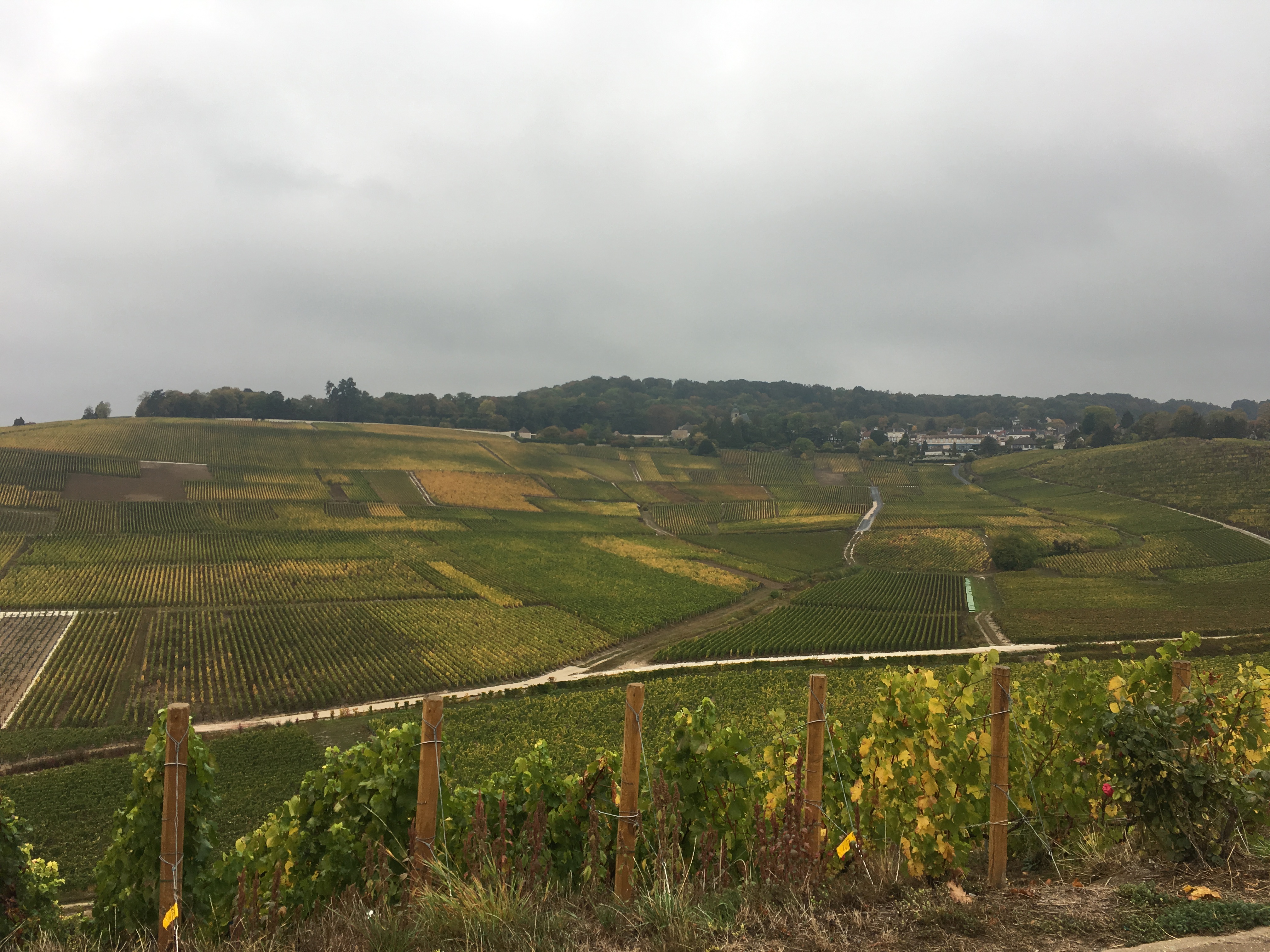 Photo n° 4 de l'avis de Christopher.o fait le 21/08/2019 à 17:01