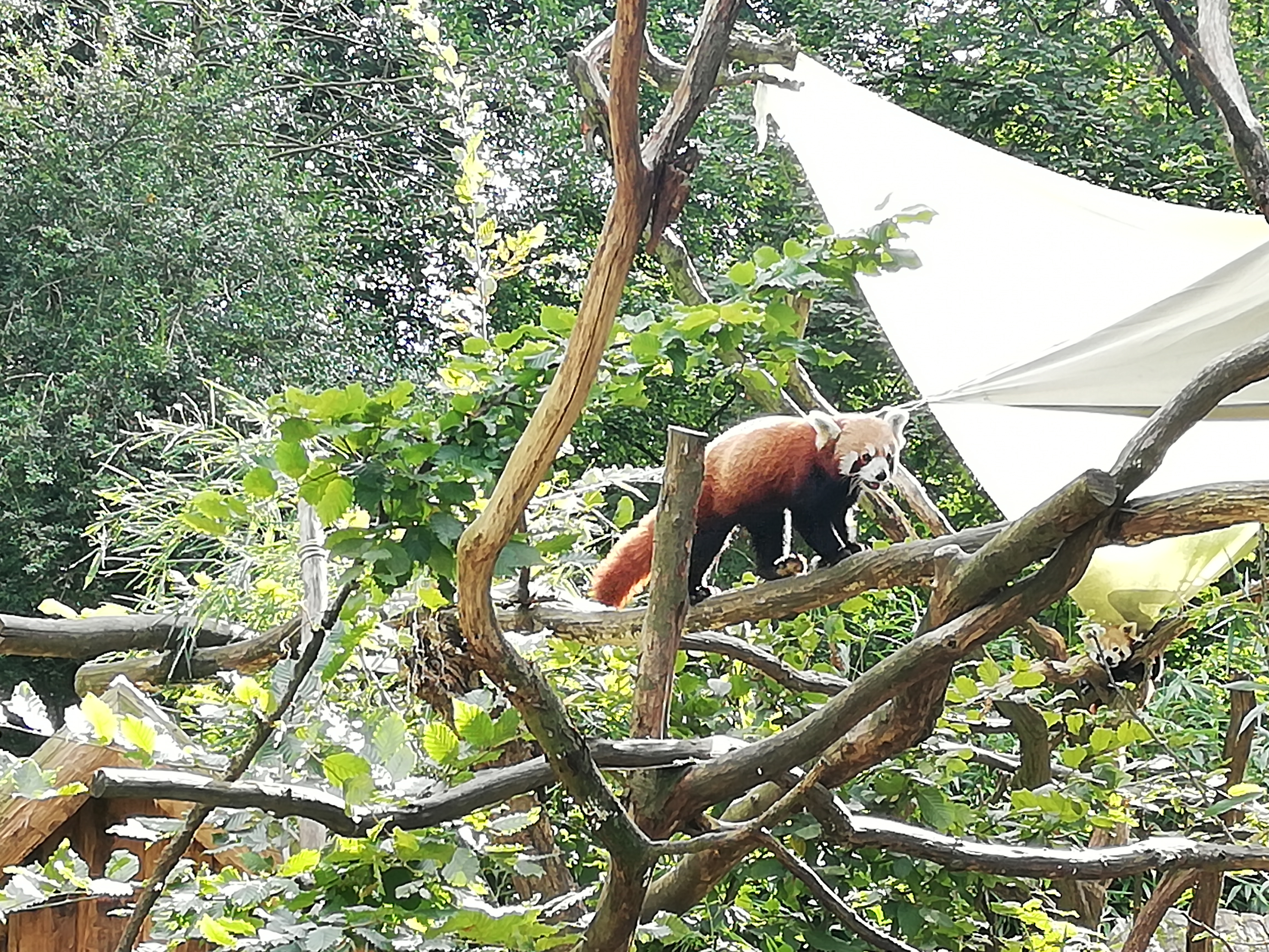 Photo n° 18 de l'avis de Jérôme.r fait le 09/10/2021 à 23:59
