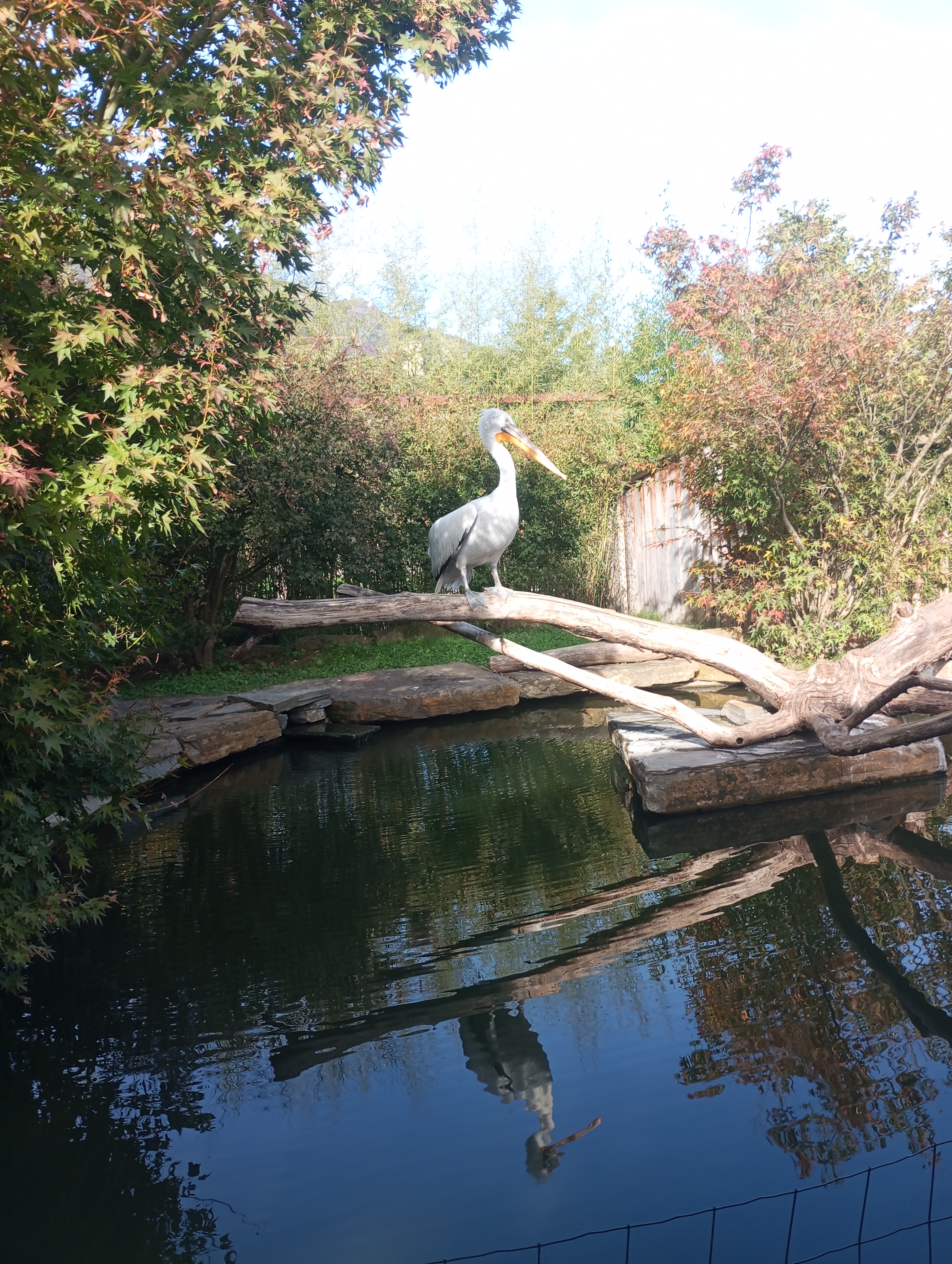 Photo n° 2 de l'avis de max. fait le 06/11/2023 à 20:14