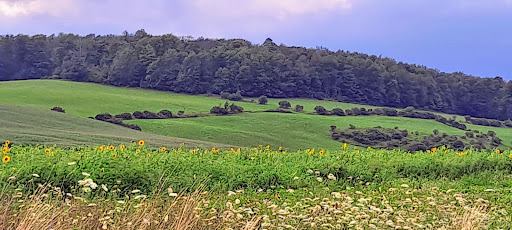 Golf Club «Willowbrook Golf Club», reviews and photos, 3267 NY-215, Cortland, NY 13045, USA