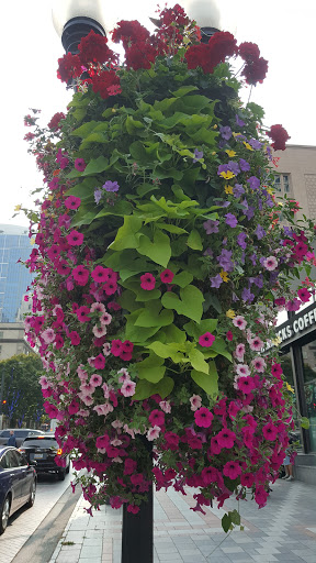 Park «Westlake Park», reviews and photos, 401 Pine St, Seattle, WA 98101, USA