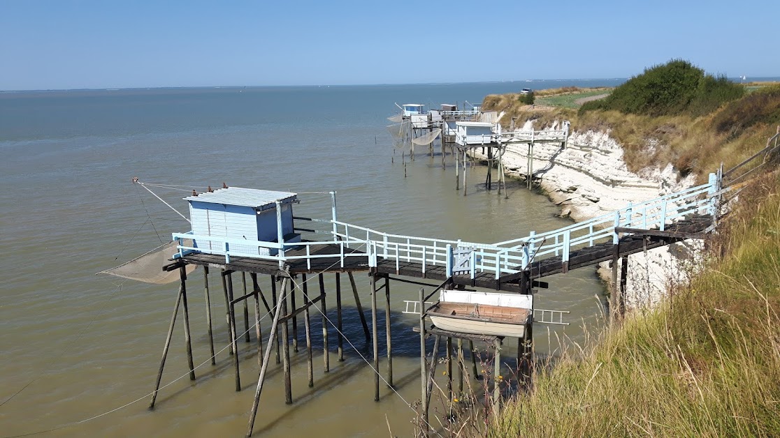 Ribes à Meschers-sur-Gironde