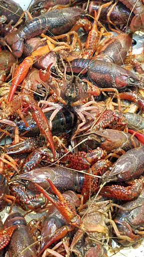 Asian Grocery Store «Shun Fat Supermarket», reviews and photos, 2368 San Pablo Ave, San Pablo, CA 94806, USA