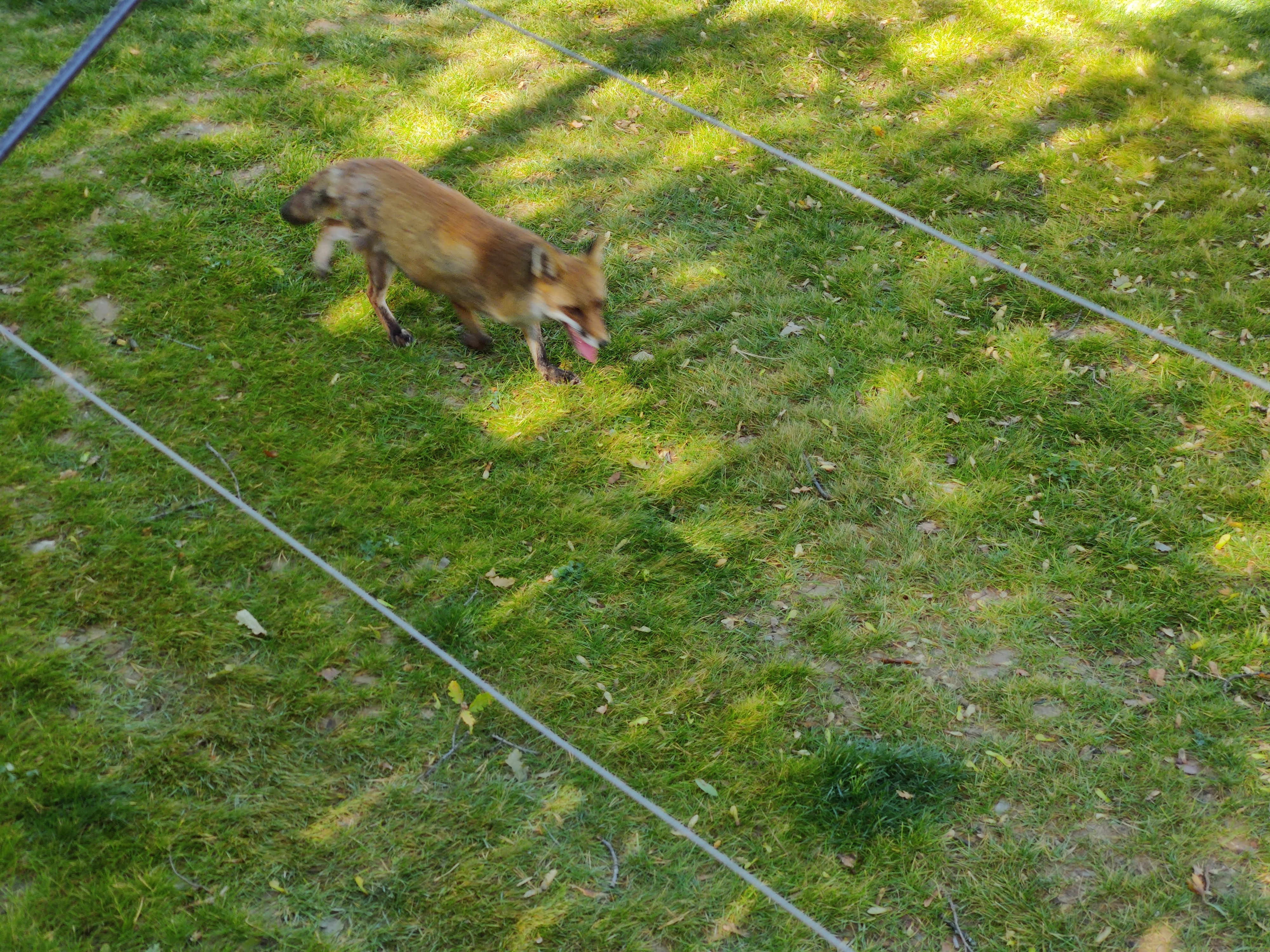 Photo n° 16 de l'avis de Julien.o fait le 14/08/2020 à 12:49